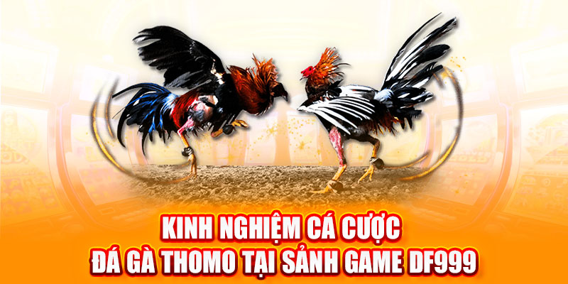 đá gà thomo