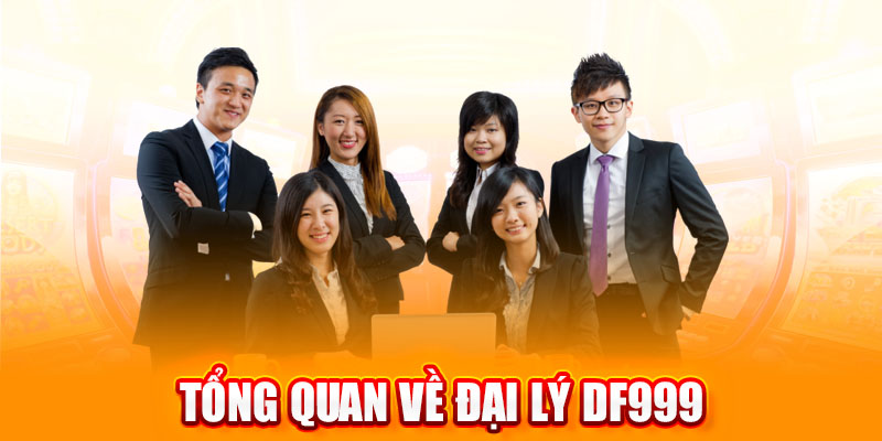 đại lý df999